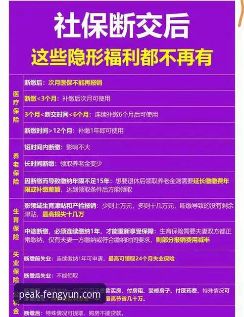 风云体育官网注册教程详解：从下载到观赛的全流程指南